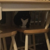 M C