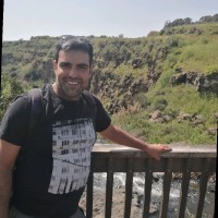 Tomer Mann
