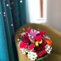 Shamsa Alafifi
