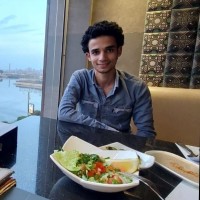 Ashraf Elsayed Elaidy