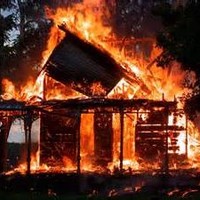 D&S Professional Svc Disaster Solutions