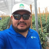Hector Lizandro Matamoros Hernández
