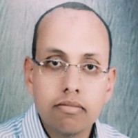 Ayman Saleh