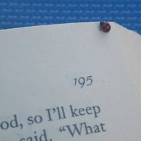 Sharon Latta Paterson