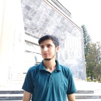 Anas Bashir