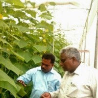 R Murugesan