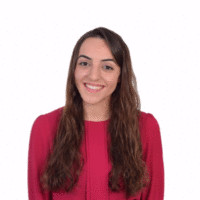 Nesrin Ghabris
