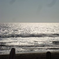 Ana Rosa Gama Valdez