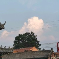 王绍禹