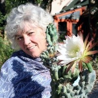 Lisa Cowden