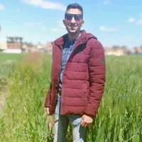 Samir Khairy
