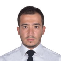 Arda Bahadir A., PMP