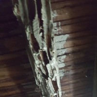 Termite Company Smith