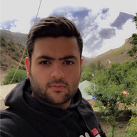ramin dehghan