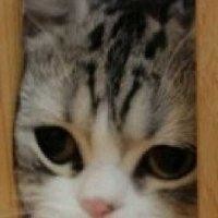 姚来燕