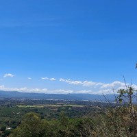 Esteban Lippi Gutierrez