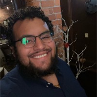 Luis Hamburger