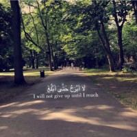 Bushra Alaraj