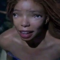 Asupan Ngemim Useless