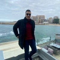 Amr Gamal Abd El Naser