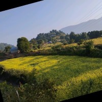Sugam Bhandari