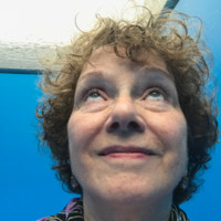 Lynn Kaplanian-Buller