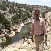 vipin lalmp