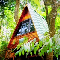 Econest Treehouse