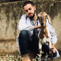 Lucas Almeida
