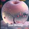 Vikash rawat Vikash rawat