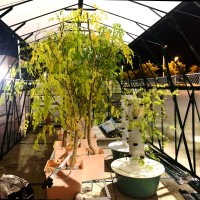 Project HOME