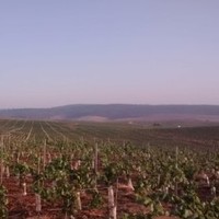 Agrícola Huertos de de Ucuquer Ltda.
