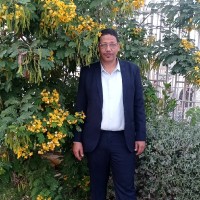 Amer Mustafa