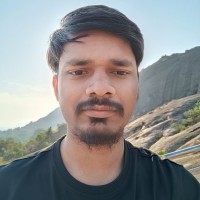 Dinesh M Pol