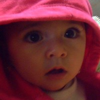 fateme N