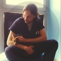 Matteo Baccolini