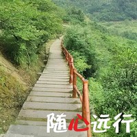王国泰