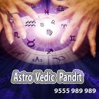 Astro Vedic Pandit Online Astrologers On Phone
