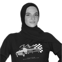 Alaa Shafshak