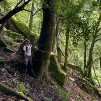 Alejandro Álvarez Hurtado