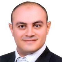 tamer mohamed el bastawisy