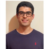 David Aravena