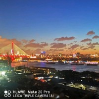 陈冬琳