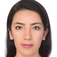 Fatemeh Jafari