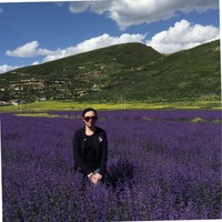 Stella, Sun Lu