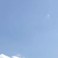 王申竹