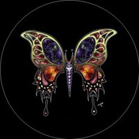 Judy L Potts