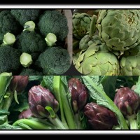 Comercial Ibérica Hortofrutícola del Sureste Grupo Ibersur