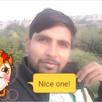 devid roy