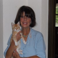 Lynette Hill Winters